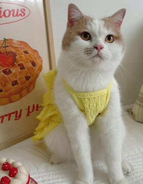 Load image into Gallery viewer, Wiz BBQT Chihuahua Yorkie Dog Dress Sleeveless Ruffles Bow Yellow Size L
