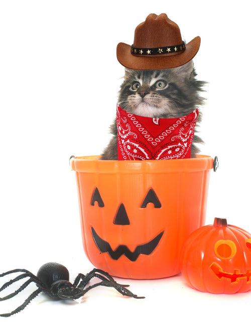 Load image into Gallery viewer, PEUTIER Pet Cowboy Costume Dog Hat &amp; Bandana Brown Red Small
