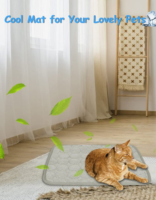 Load image into Gallery viewer, 2PCS Summer Cooling Mat for Small Animals Bunny Guinea Pig 15.8x11.8 Grey
