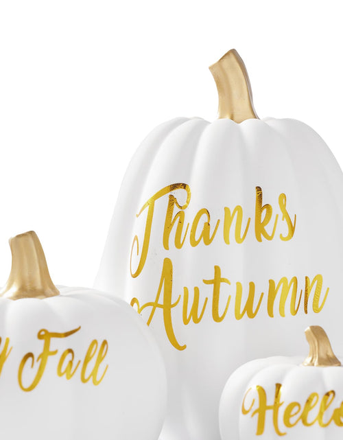 Load image into Gallery viewer, DN DECONATION 3 Pc Fall Pumpkin Decorations White Brown Black Resin Figurines
