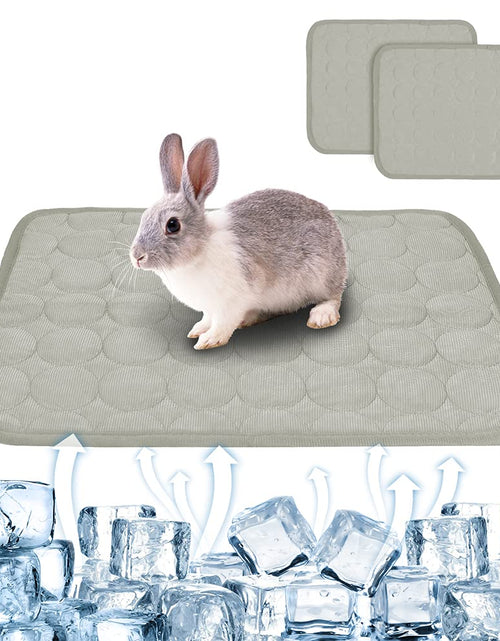 Load image into Gallery viewer, 2PCS Summer Cooling Mat for Small Animals Bunny Guinea Pig 15.8x11.8 Grey
