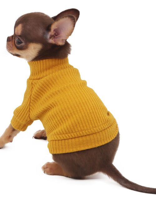 Load image into Gallery viewer, LOPHIPETS Small Dog Turtleneck Sweater Teacup Chihuahua Yorkie Yellow Size XXS
