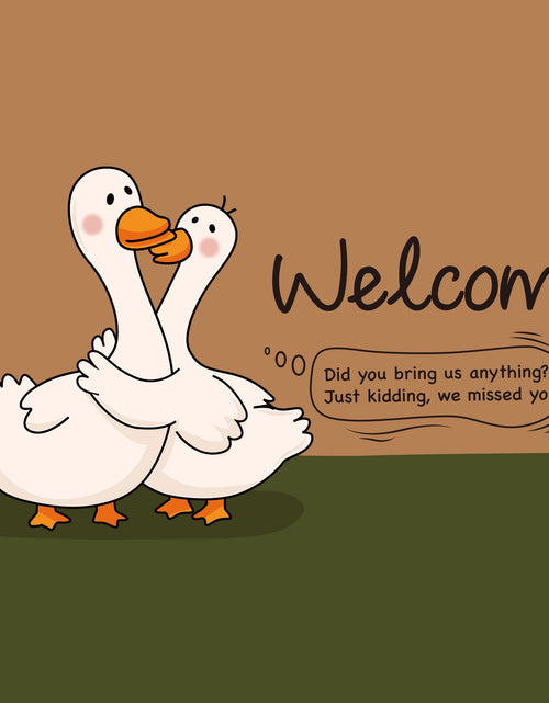 Load image into Gallery viewer, FEXIA Goose Pattern Indoor Outdoor Welcome Mat Rug 29x17 Polyester
