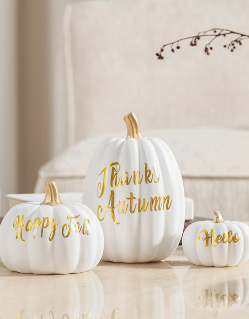 Load image into Gallery viewer, DN DECONATION 3 Pc Fall Pumpkin Decorations White Brown Black Resin Figurines
