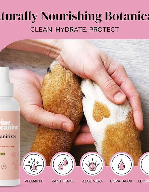 Load image into Gallery viewer, Dog Paw Cleaner Spray 5.1oz Alcohol Free Rosewater Aloe Copaiba Lemongrass USA
