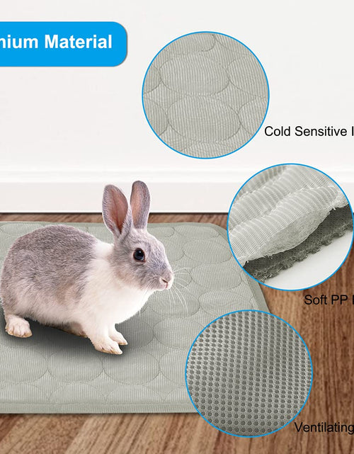 Load image into Gallery viewer, 2PCS Summer Cooling Mat for Small Animals Bunny Guinea Pig 15.8x11.8 Grey
