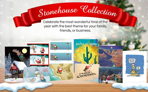 Load image into Gallery viewer, Stonehouse Collection 2-Pack Funny Thanksgiving Greeting Cards Turkey Assorted
