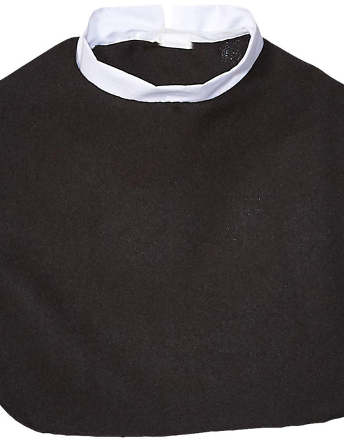 Load image into Gallery viewer, Alexanders Costumes Mens Clergy Collar Accessory Black One Size US

