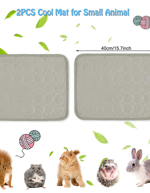 Load image into Gallery viewer, 2PCS Summer Cooling Mat for Small Animals Bunny Guinea Pig 15.8x11.8 Grey
