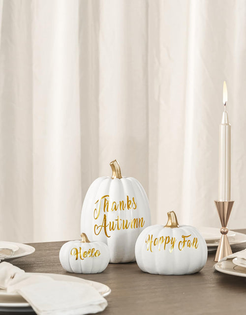 Load image into Gallery viewer, DN DECONATION 3 Pc Fall Pumpkin Decorations White Brown Black Resin Figurines
