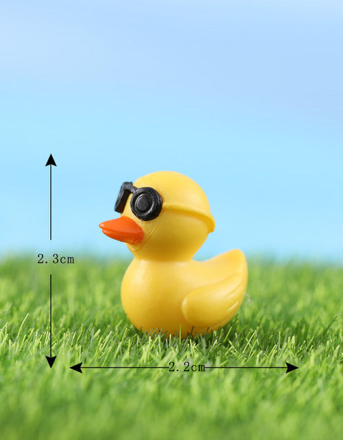 Load image into Gallery viewer, Bryophyte Miniature Landscapes, Succulent Plant Decorations, Doll Figurines, Travel Duck Souvenirs, DIY Material Kits
