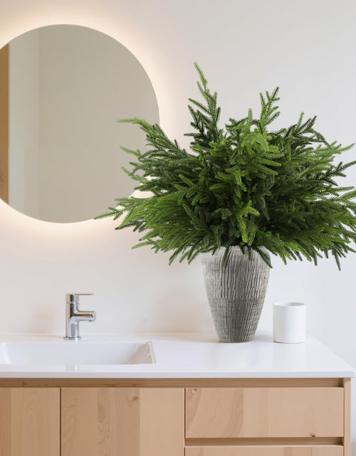 Load image into Gallery viewer, Wsorik 12Pcs 24 Inch Norfolk Pine Stems Artificial Greenery Branches
