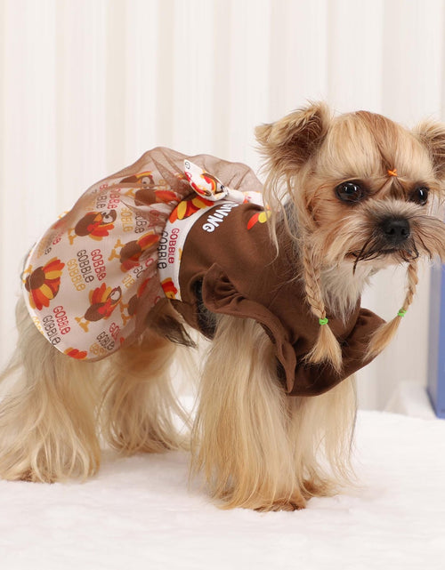 Load image into Gallery viewer, Sebaoyu Thanksgiving Dog Dress Brown Turkey Skirt Small Size
