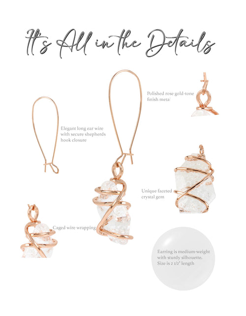 Load image into Gallery viewer, Robert Lee Morris Soho Women's Caged Stone Crystal Dangle Earrings One Size
