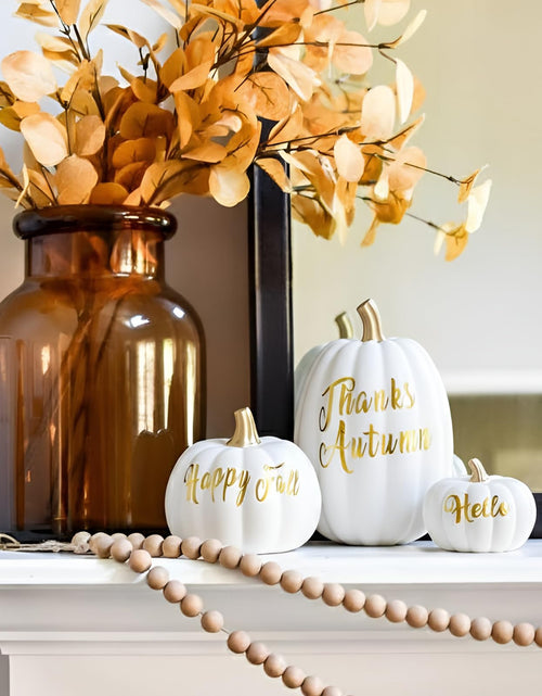Load image into Gallery viewer, DN DECONATION 3 Pc Fall Pumpkin Decorations White Brown Black Resin Figurines
