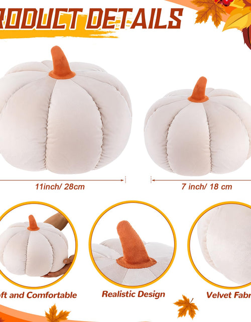 Load image into Gallery viewer, Yookeer 2 Pcs Velvet 3D Pumpkin Throw Pillows White 7''+11''
