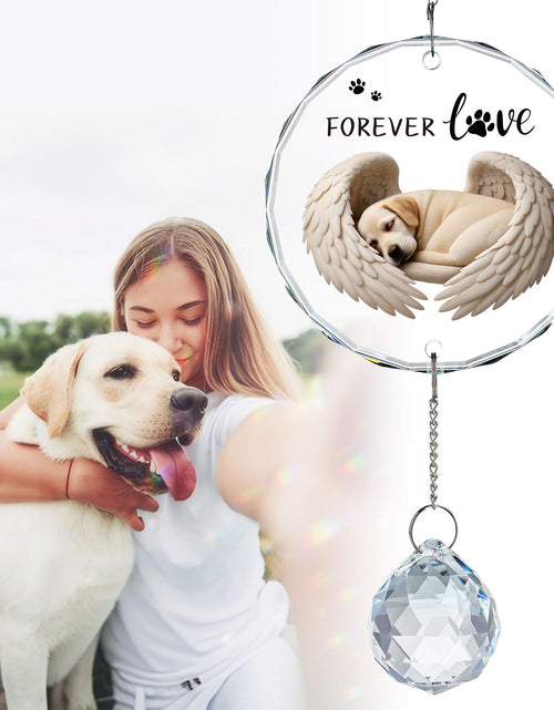 Load image into Gallery viewer, YU FENG 11.8in Dog Angel Crystal Suncatcher Memorial Rainbow Bridge
