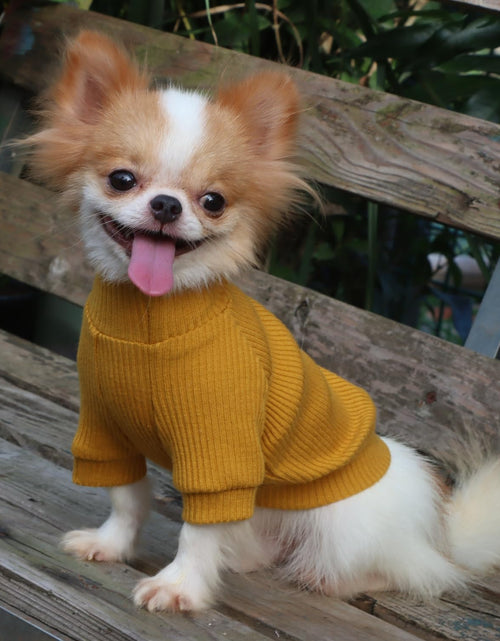 Load image into Gallery viewer, LOPHIPETS Small Dog Turtleneck Sweater Teacup Chihuahua Yorkie Yellow Size XXS
