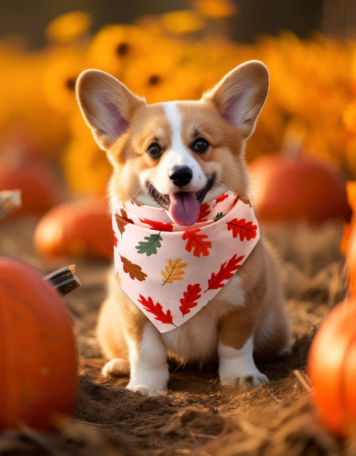 Load image into Gallery viewer, Preboun 100Pcs Fall Thanksgiving Dog Bandanas Pumpkin Maple Leaves Yellow Orange
