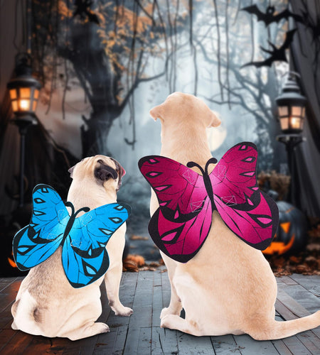 Coppthinktu Butterfly Wings Dog Cat Costume Blue Felt with 3 Flowers Size L
