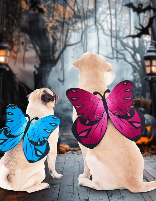 Load image into Gallery viewer, Coppthinktu Butterfly Wings Dog Cat Costume Blue Felt with 3 Flowers Size L
