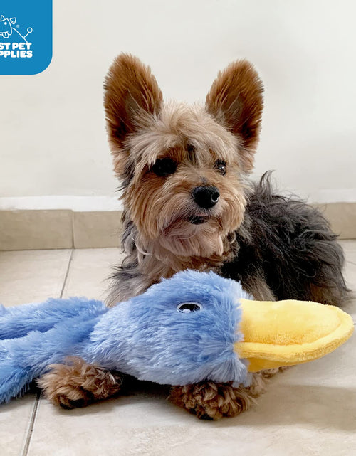 Load image into Gallery viewer, Best Pet Supplies Interactive Squeaky Dog Chew Toy Crinkle Duck Blue Large
