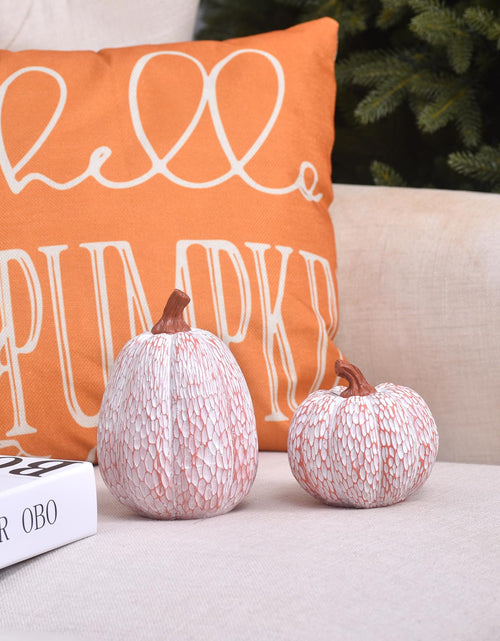 Load image into Gallery viewer, Ovootok Resin Pumpkins Fall Decorations White 2PCS Thanksgiving Decor
