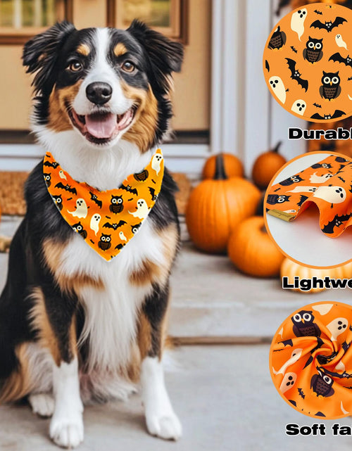 Load image into Gallery viewer, Raisingwell Dog Bandana Halloween N.Helloween 1 Pack Size Large
