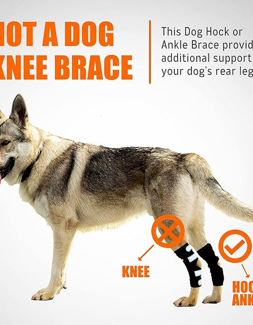 Load image into Gallery viewer, NeoAlly Dog Rear Leg Hock Brace with Metal Spring Strips for Large Dogs [Long Version] (Pair)
