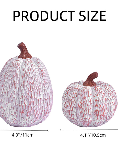 Load image into Gallery viewer, Ovootok Resin Pumpkins Fall Decorations White 2PCS Thanksgiving Decor
