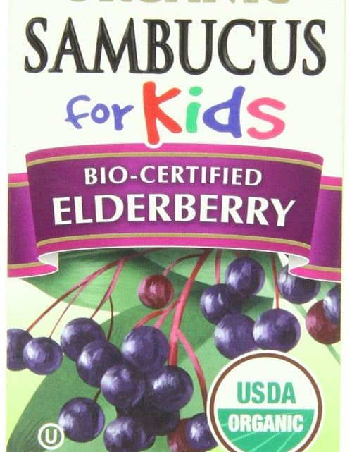 Load image into Gallery viewer, BestBy02/26 Nature's Way Organic Sambucus Kids Syrup Elderberry 4 fl oz
