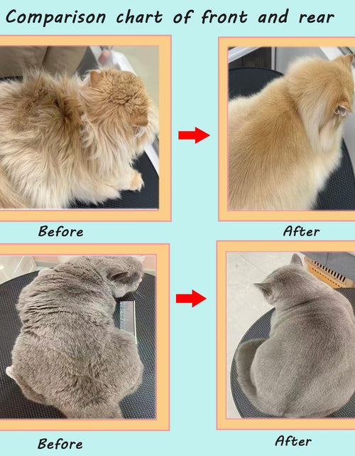 Load image into Gallery viewer, Groompro Deshedding Brush Dog &amp; Cat Hair Removal Tool L 5.3 inch
