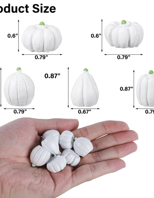Load image into Gallery viewer, winemana Mini Pumpkins Fall Decorations 80 Pack White Resin Small
