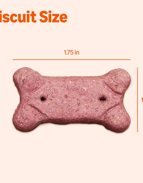Load image into Gallery viewer, Amazon Basics Crunchy Dog Biscuits Multi Flavor 5 lb Box
