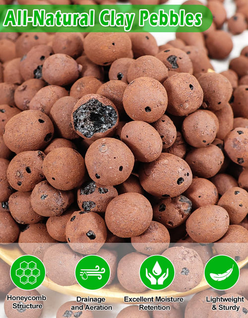 Load image into Gallery viewer, TOYPOPOR Leca Clay Pebbles Grow Media 6 Quarts Lightweight Clay Balls
