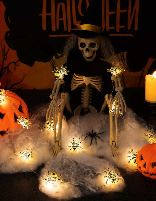 Load image into Gallery viewer, Joygoods Halloween Spider String Lights 7ft 20 LED Warm White Battery 2 Pack

