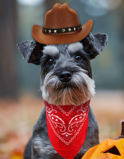Load image into Gallery viewer, PEUTIER Pet Cowboy Costume Dog Hat &amp; Bandana Brown Red Small
