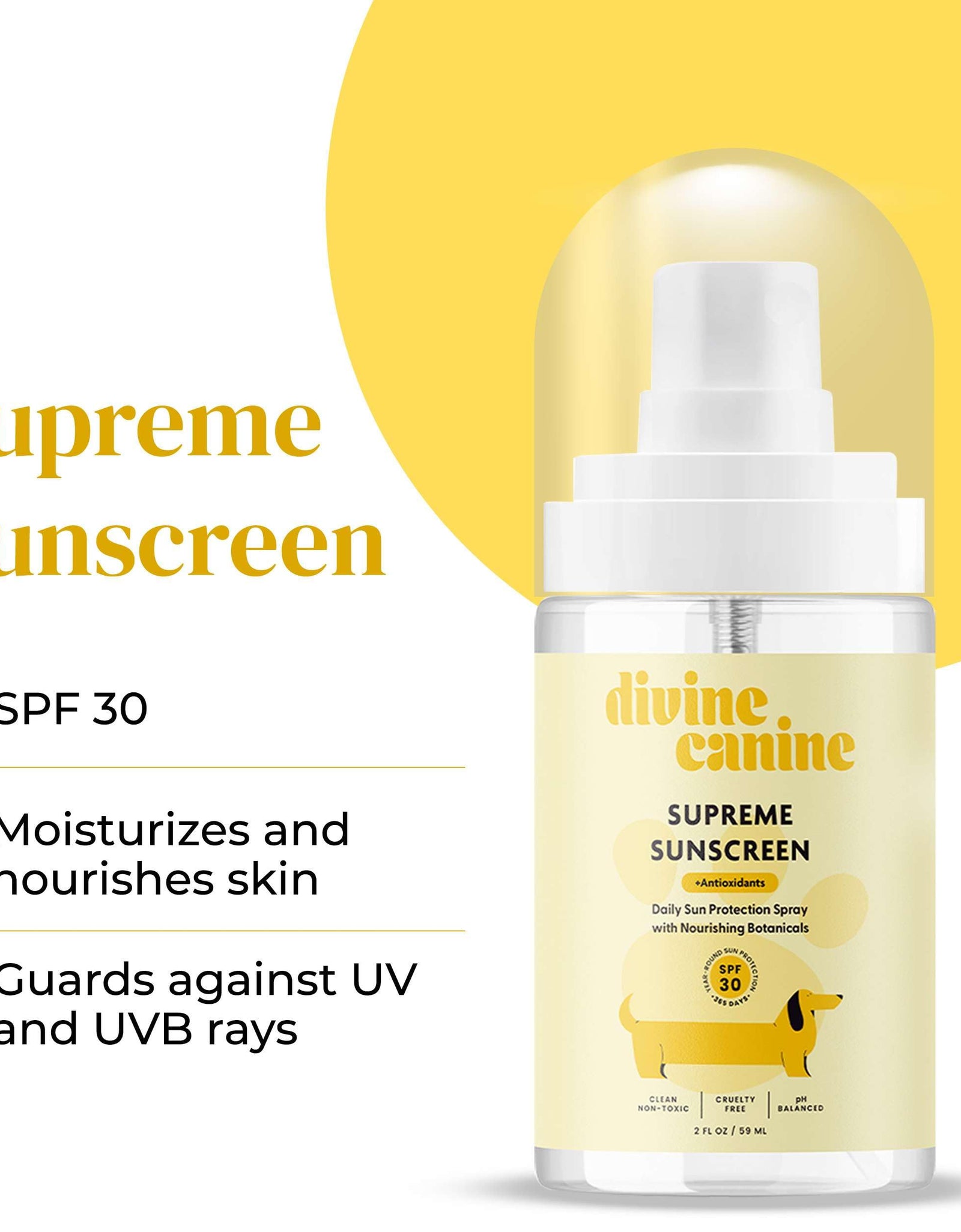 Divine Canine Summer Essentials Dog Care Kit Sunscreen Paw Balm