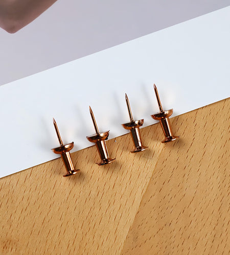 Bomeirc Rose Gold Push Pins 100pcs Double Headed Decorative Tacks with Box