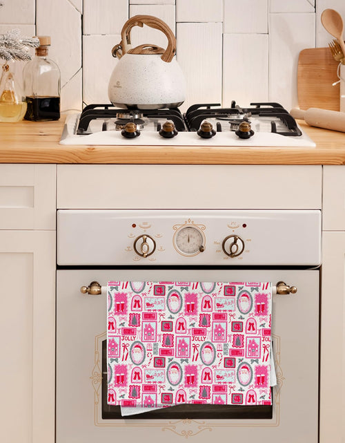 Load image into Gallery viewer, WDSFHYJK Coquette Christmas Santa Kitchen Towels Hot Pink 16x24 Inch
