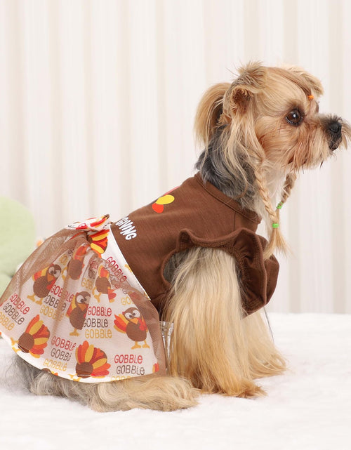 Load image into Gallery viewer, Sebaoyu Thanksgiving Dog Dress Brown Turkey Skirt Small Size

