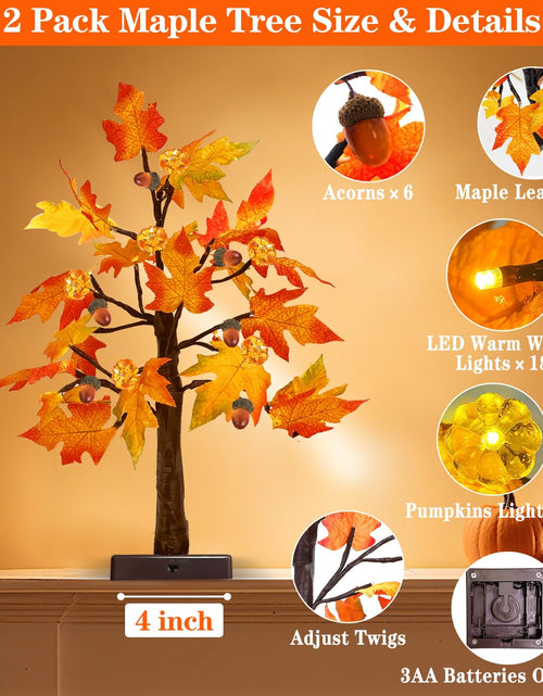 Load image into Gallery viewer, TURNMEON 2Pack 24in Prelit Fall Maple Tree Lights48 LED Timer Battery Orange Red
