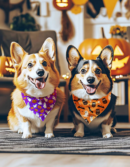 Load image into Gallery viewer, Raisingwell Dog Bandana Halloween N.Helloween 1 Pack Size Large
