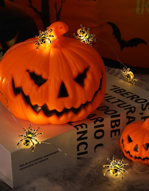 Load image into Gallery viewer, Joygoods Halloween Spider String Lights 7ft 20 LED Warm White Battery 2 Pack
