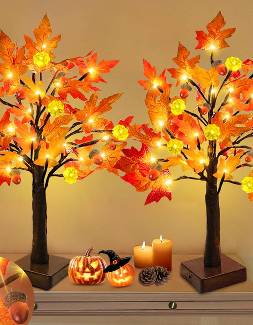Load image into Gallery viewer, TURNMEON 2Pack 24in Prelit Fall Maple Tree Lights48 LED Timer Battery Orange Red
