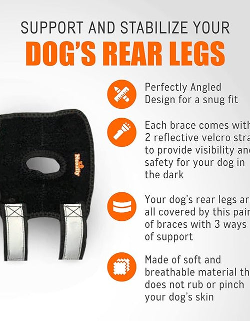 Load image into Gallery viewer, NeoAlly 3-in-1 Short Rear Leg Hock Brace for Smaller Dogs with Rigid and Spring Inserts | Safety Reflective Straps [Short Version] (Pair)
