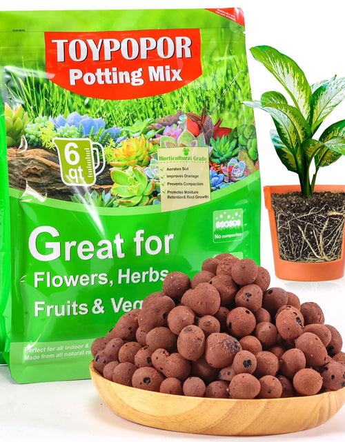 Load image into Gallery viewer, TOYPOPOR Leca Clay Pebbles Grow Media 6 Quarts Lightweight Clay Balls
