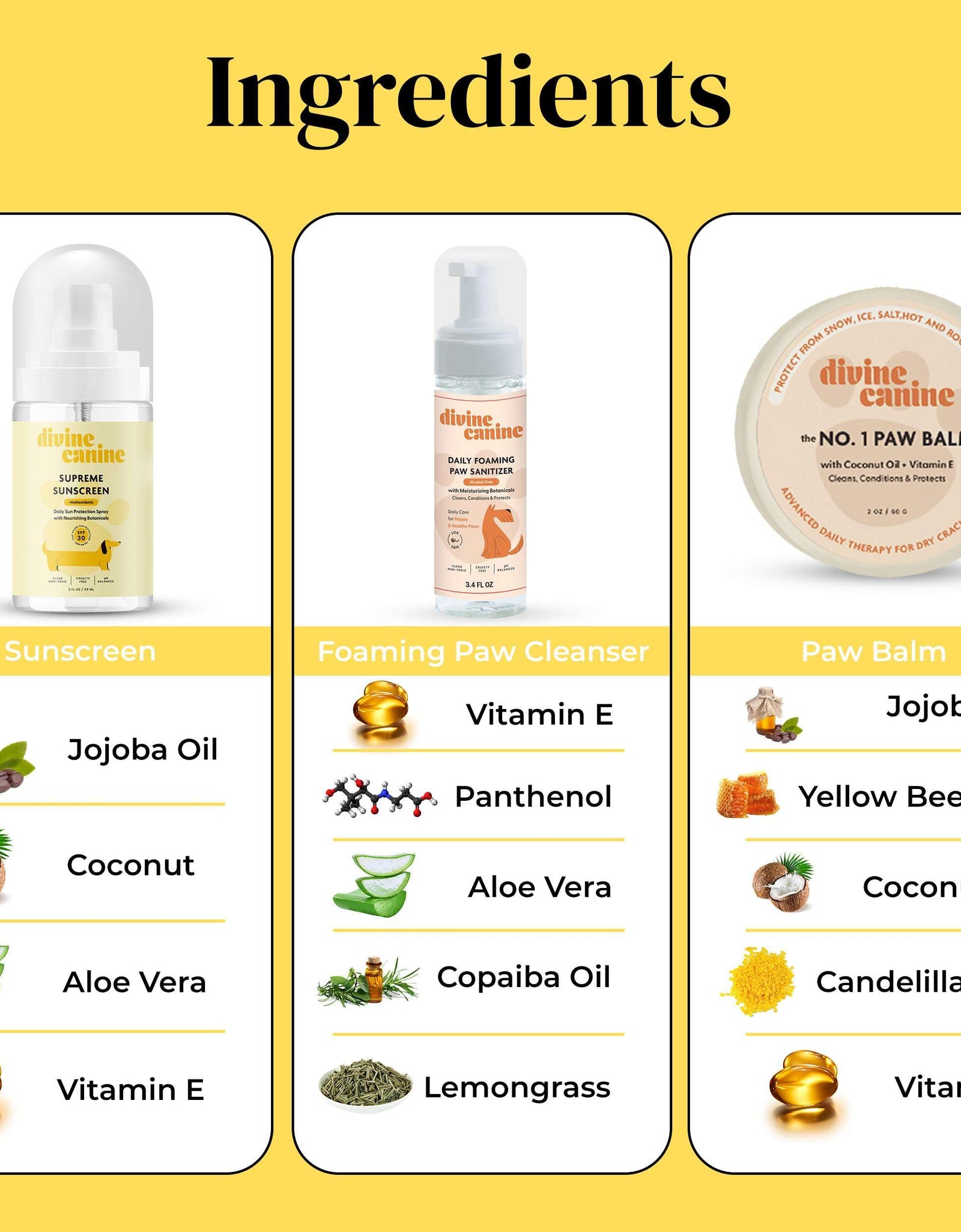Divine Canine Summer Essentials Dog Care Kit Sunscreen Paw Balm