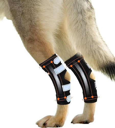 NeoAlly Dog Rear Leg Hock Brace with Metal Spring Strips for Large Dogs [Long Version] (Pair)