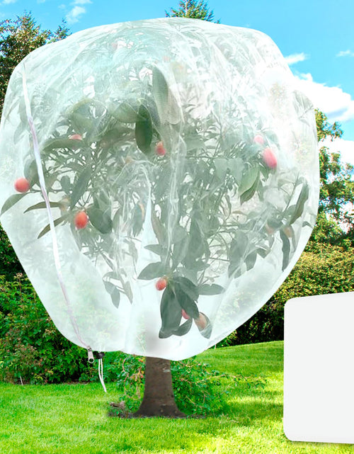 Load image into Gallery viewer, H.Romo Fruit Tree Netting 8x8ft Clear Garden Bird Pest Barrier 1 Pack
